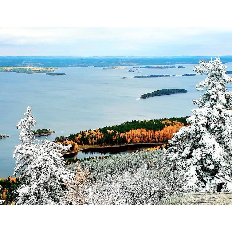 Yhteiskuntasuhteita ja mets&auml;biotaloutta