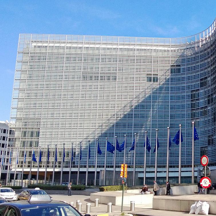 Networks and funding arrangements