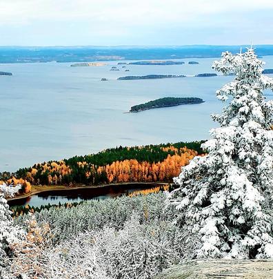 Yhteiskuntasuhteita ja mets&auml;biotaloutta